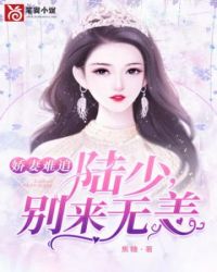 陆少别来无恙