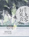 重生九零好欢喜