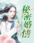 秘密婚情