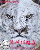 篮球拦路虎