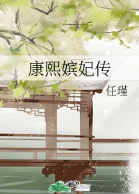 康熙嫔妃传