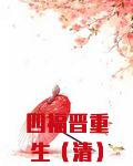 四福晋重生（清）