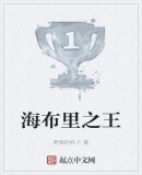 海布里之王