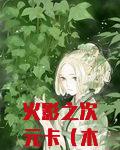 火影之次元卡（木叶之次元卡）
