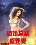 傲娇总裁盛宠妻