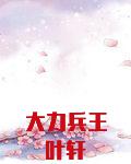 大力兵王叶轩