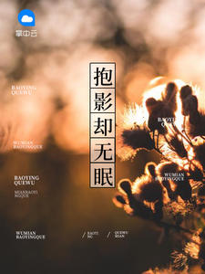 抱影却无眠