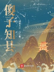 傻子知县