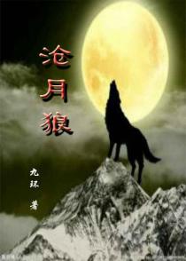 沧月狼