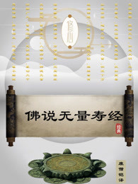 佛说无量寿经