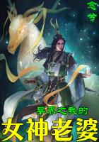 异界之我的女神老婆