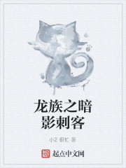 龙族之暗影刺客