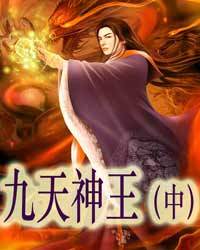 九天神王（中）1