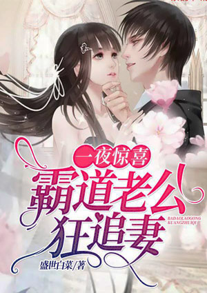 一夜惊喜：霸道老公狂追妻