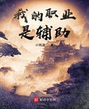 我的职业是辅助