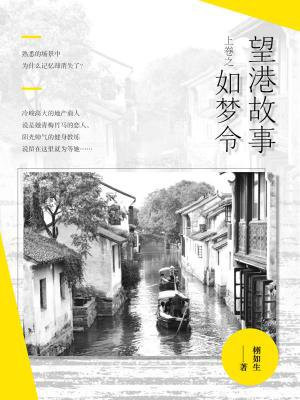 望港故事（上卷之如梦令）