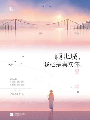 顾北城，我还是喜欢你2