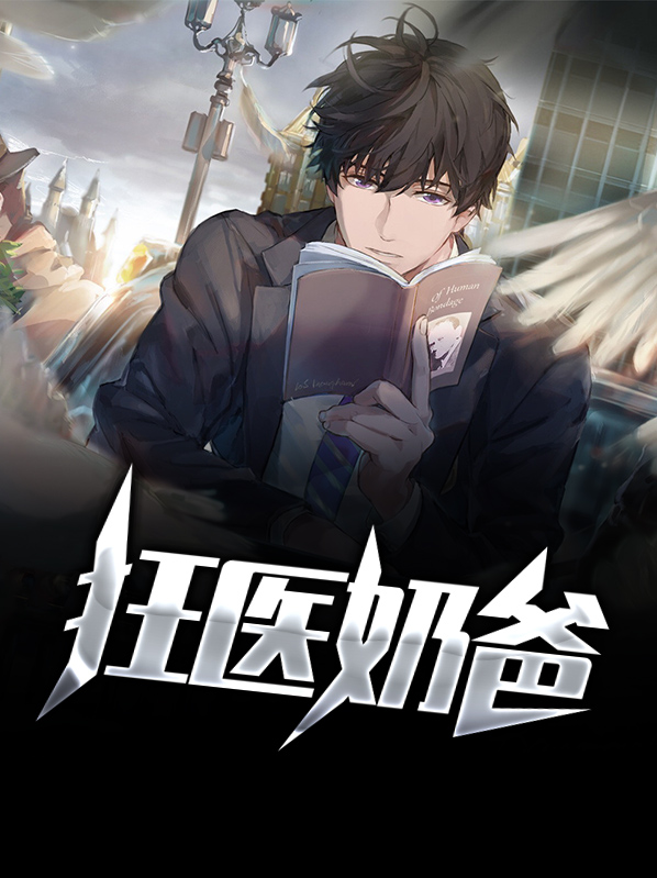 狂医奶爸岚风