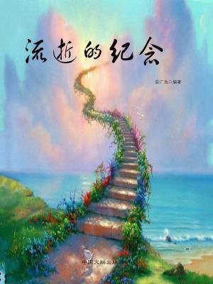 流逝的纪念