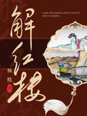 解红楼