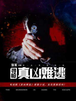寻枪：真凶难逃