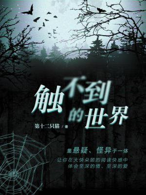 触不到的世界
