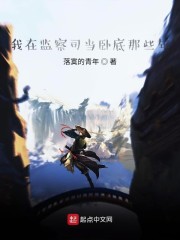 我在监察司当卧底那些年