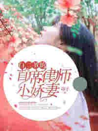 白二爷的首席律师小娇妻