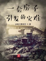 一套房子引发的灾难
