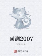回溯2007