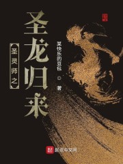 圣灵师之圣龙归来