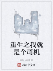 重生之我就是个司机