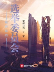 我的脑内选举委员会