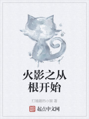 木叶之从根开始