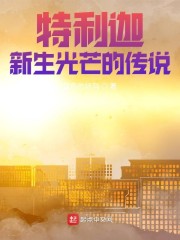 特利迦：新生光芒的传说