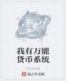 我有万能货币系统