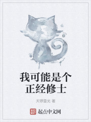 我可能是个正经修士