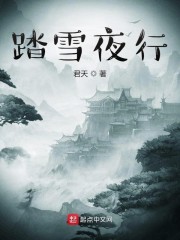 踏雪夜行
