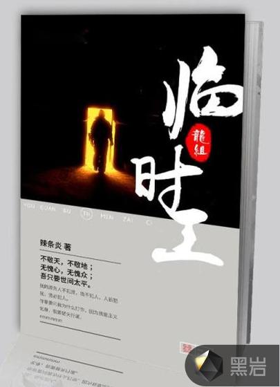 龙组临时工