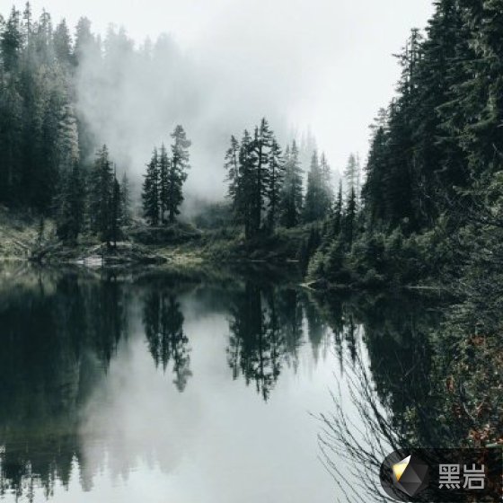 我在末世称帝了