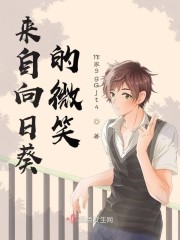 来自向日葵的微笑
