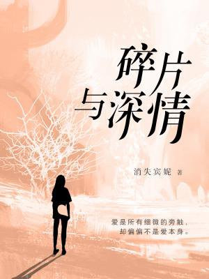 碎片与深情