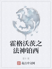 霍格沃茨之法神铂西