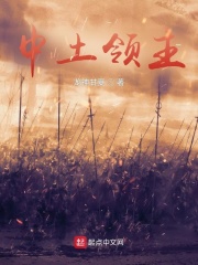 中土领主