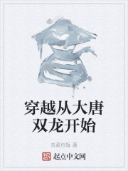 穿越从大唐双龙开始