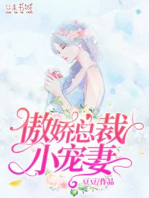 傲娇总裁小宠妻