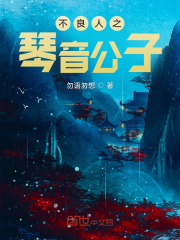 不良人之琴音公子
