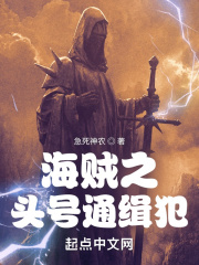 海贼之头号通缉犯