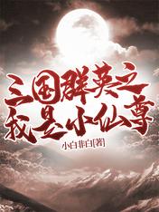 三国群英之我是小仙尊
