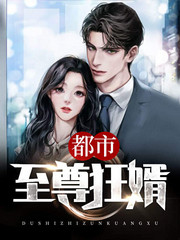 都市至尊狂婿